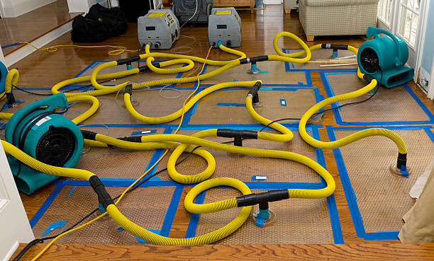 Professional Flood Damage Restoration technician working in Pillsbury, ND